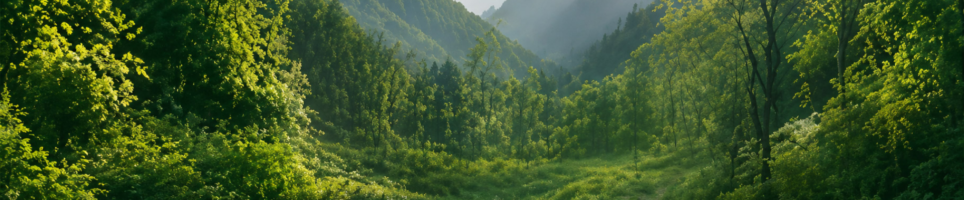 页脚背景